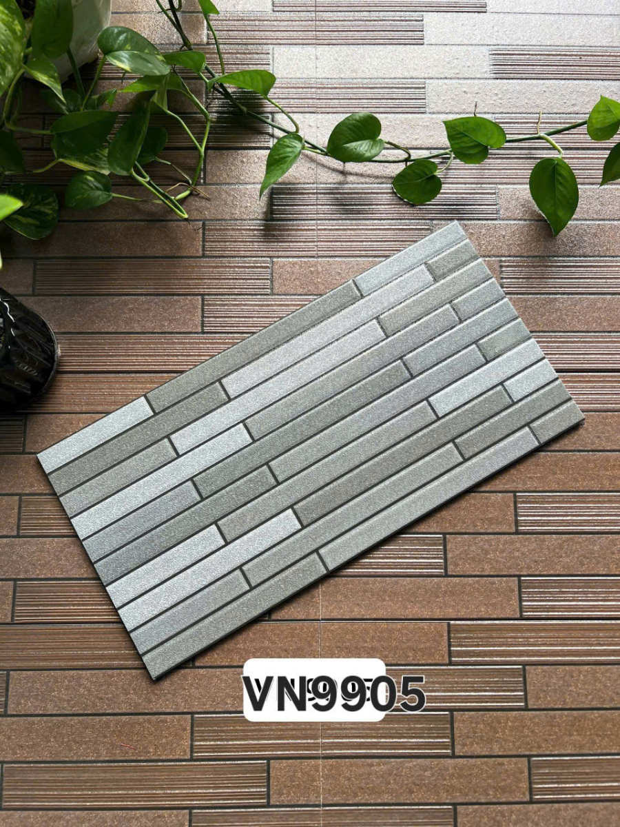 Việt Nhật VN 9905